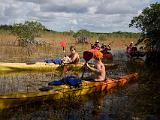 C Everglades 054 : Everglades